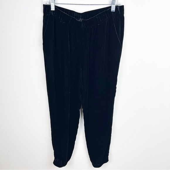 Eileen Fisher Petite Velvet Elastic Waist Silk blend pull-on joggers size: PM - Picture 1 of 10